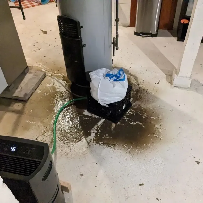 Sewage Backup Cleanup Service in Asherton, TX